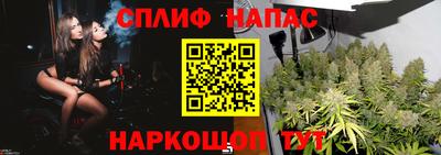 хмурый Сланцы