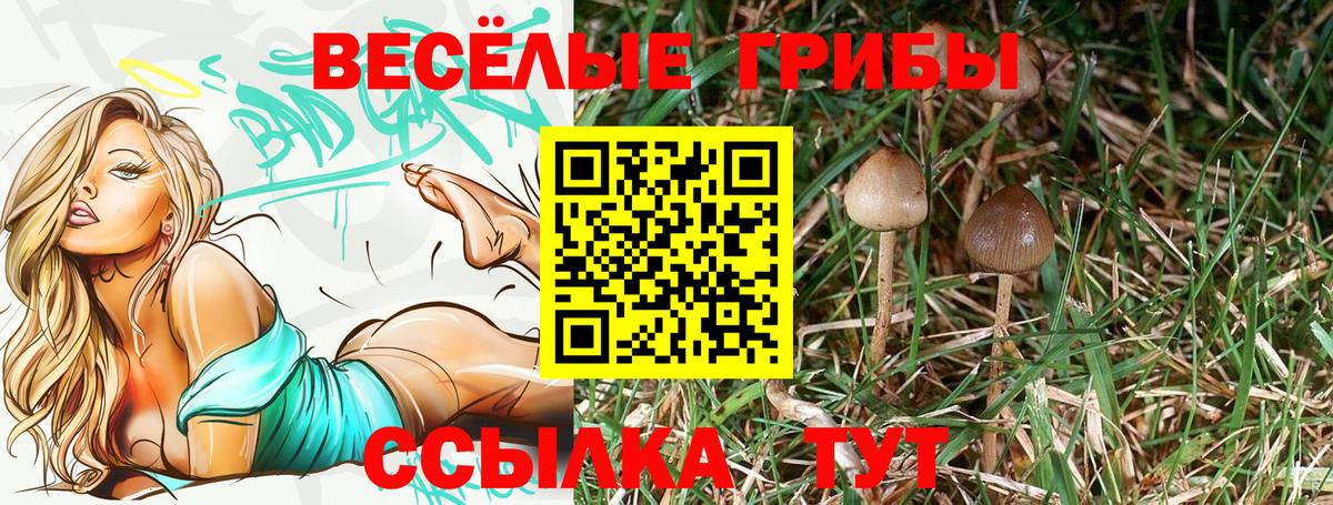 Псилоцибиновые грибы MAGIC MUSHROOMS  Вход с VPN  Нальчик 