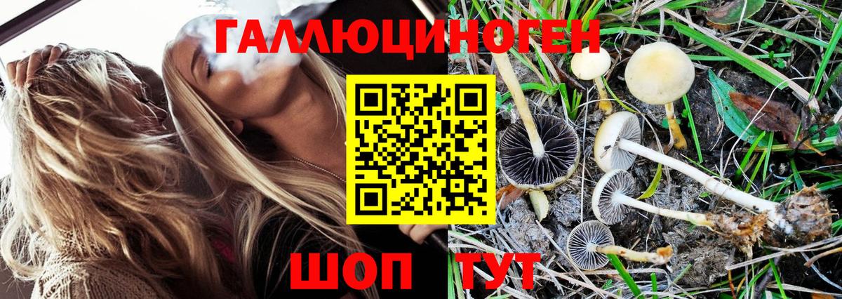 Псилоцибиновые грибы MAGIC MUSHROOMS Нальчик